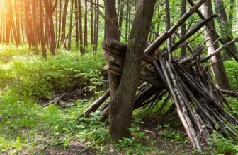 Understanding Wildlife Behavior for Safety